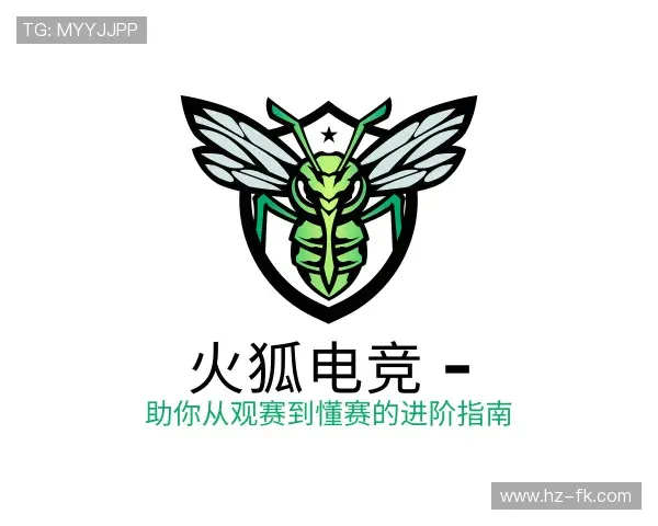发现火狐电竞